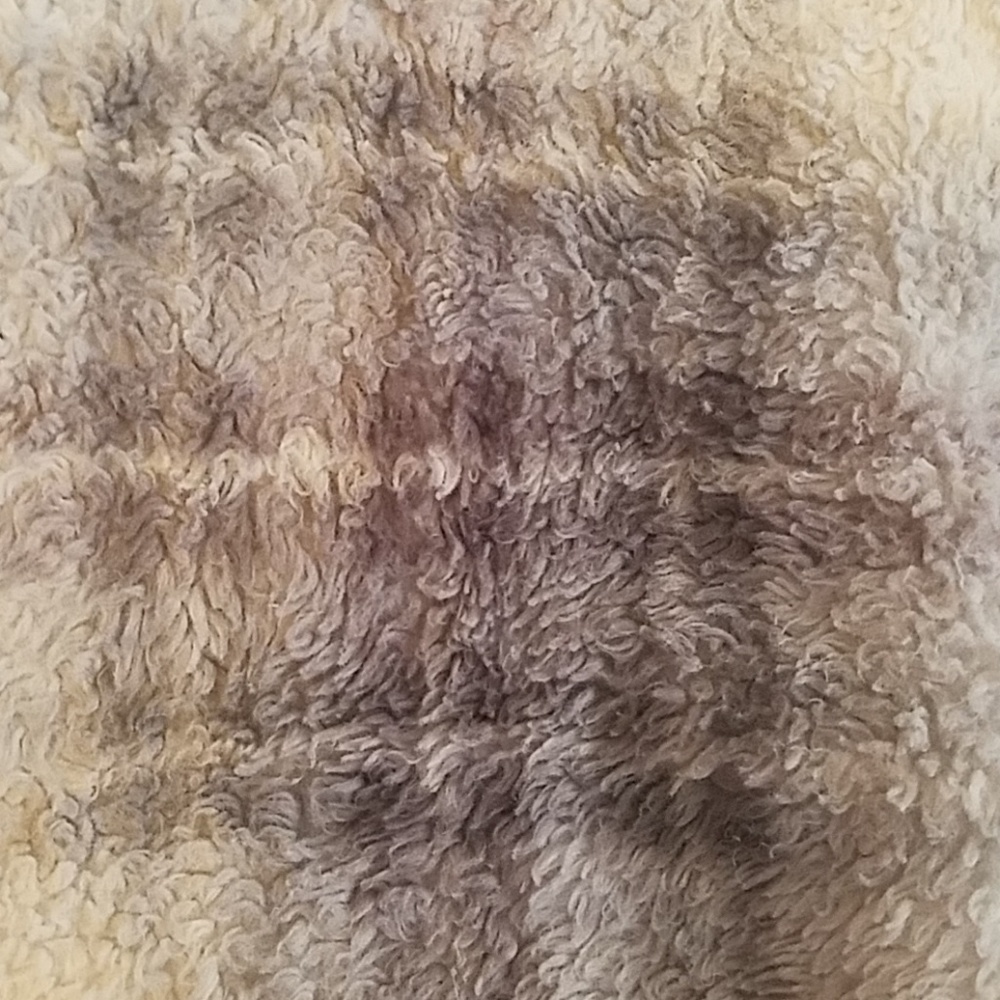 Meet your Posher, Kiki